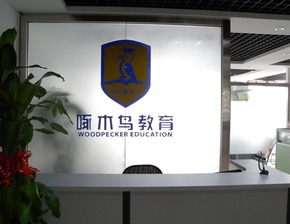 啄木鳥(niǎo)教育喜獲2500萬(wàn)元投資，專注深化留學(xué)咨詢服務(wù)